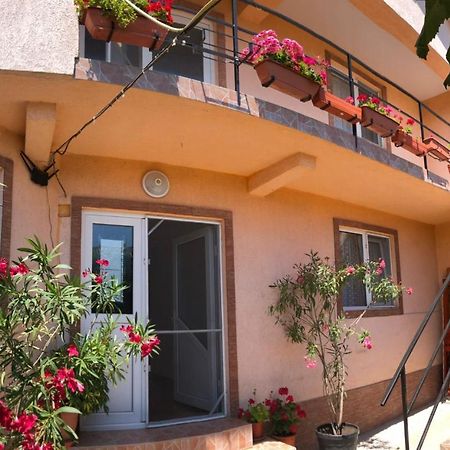 Hotel Casa Dasoveanu Costinesti Zewnętrze zdjęcie