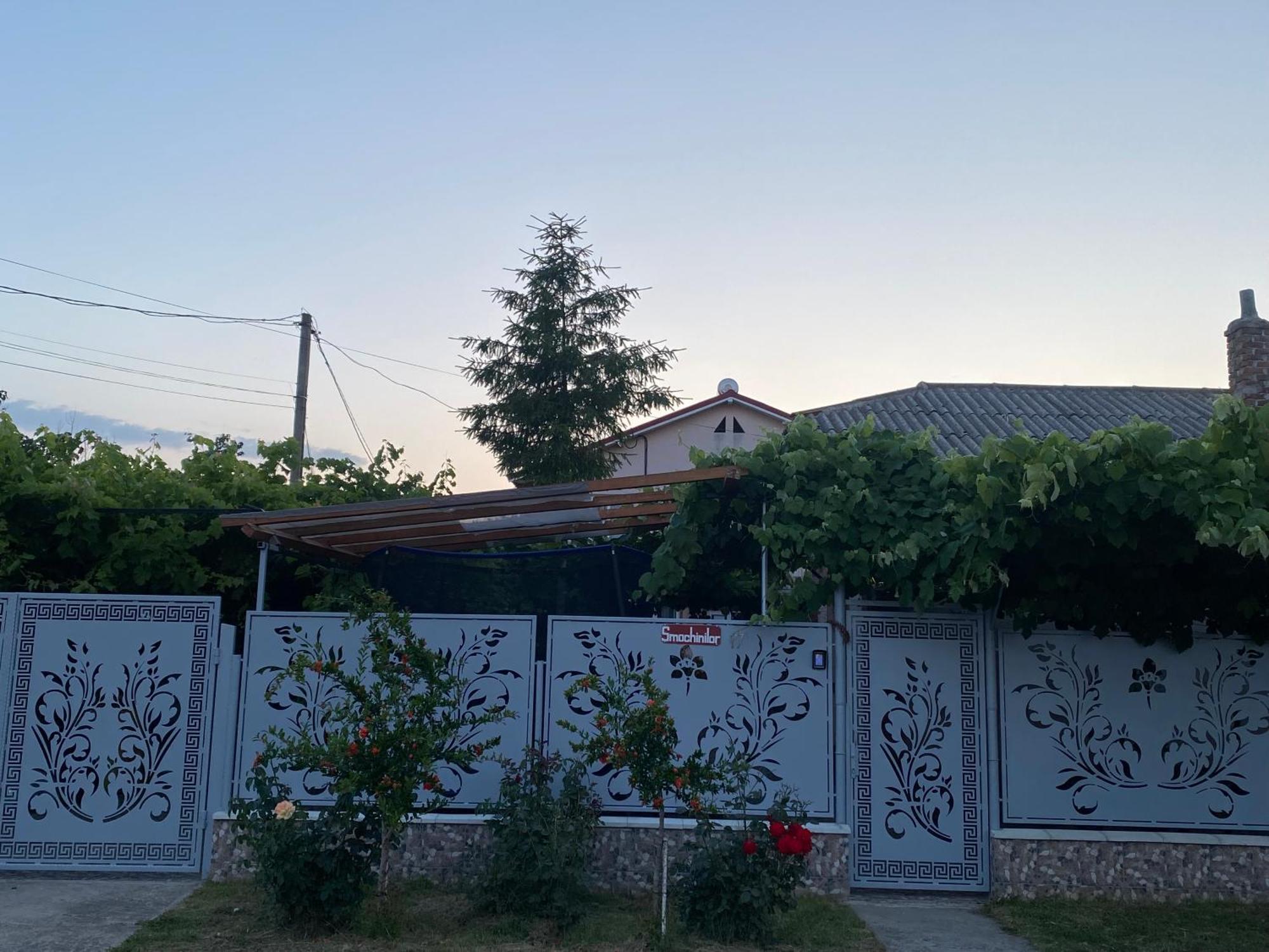 Hotel Casa Dasoveanu Costinesti Zewnętrze zdjęcie